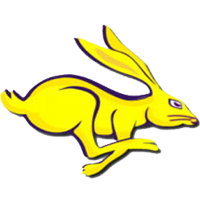 Mesa Jackrabbits Logo