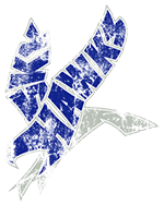 Deer Valley Skyhawks Logo